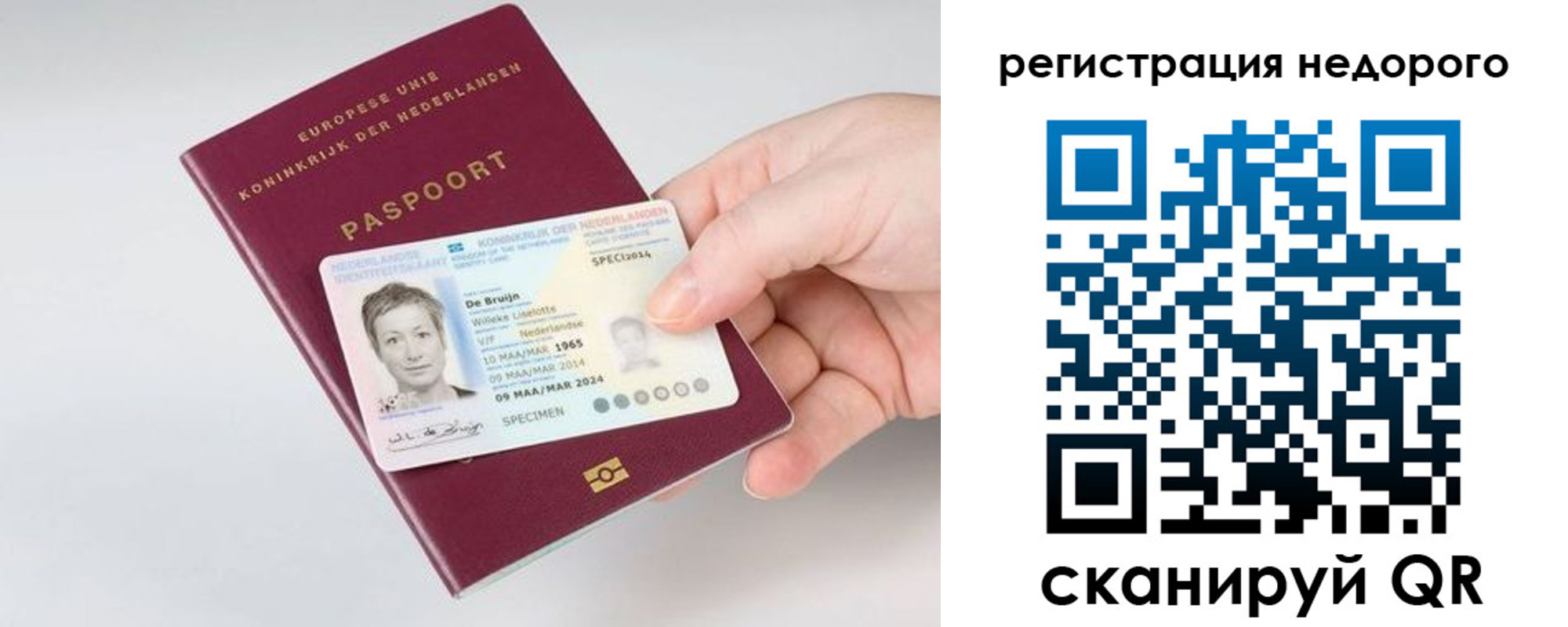 временная регистрация гарантия в Суворове
